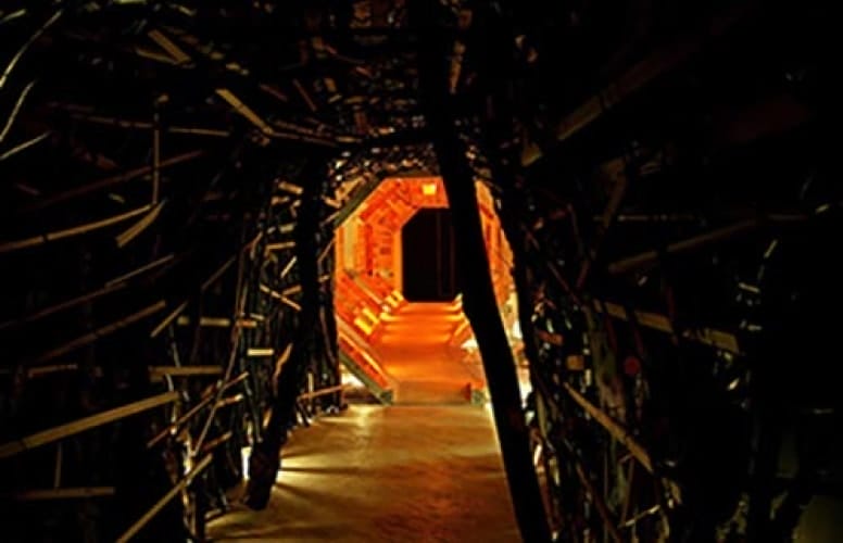 LN-CC – Partnerships – Dazze Studio