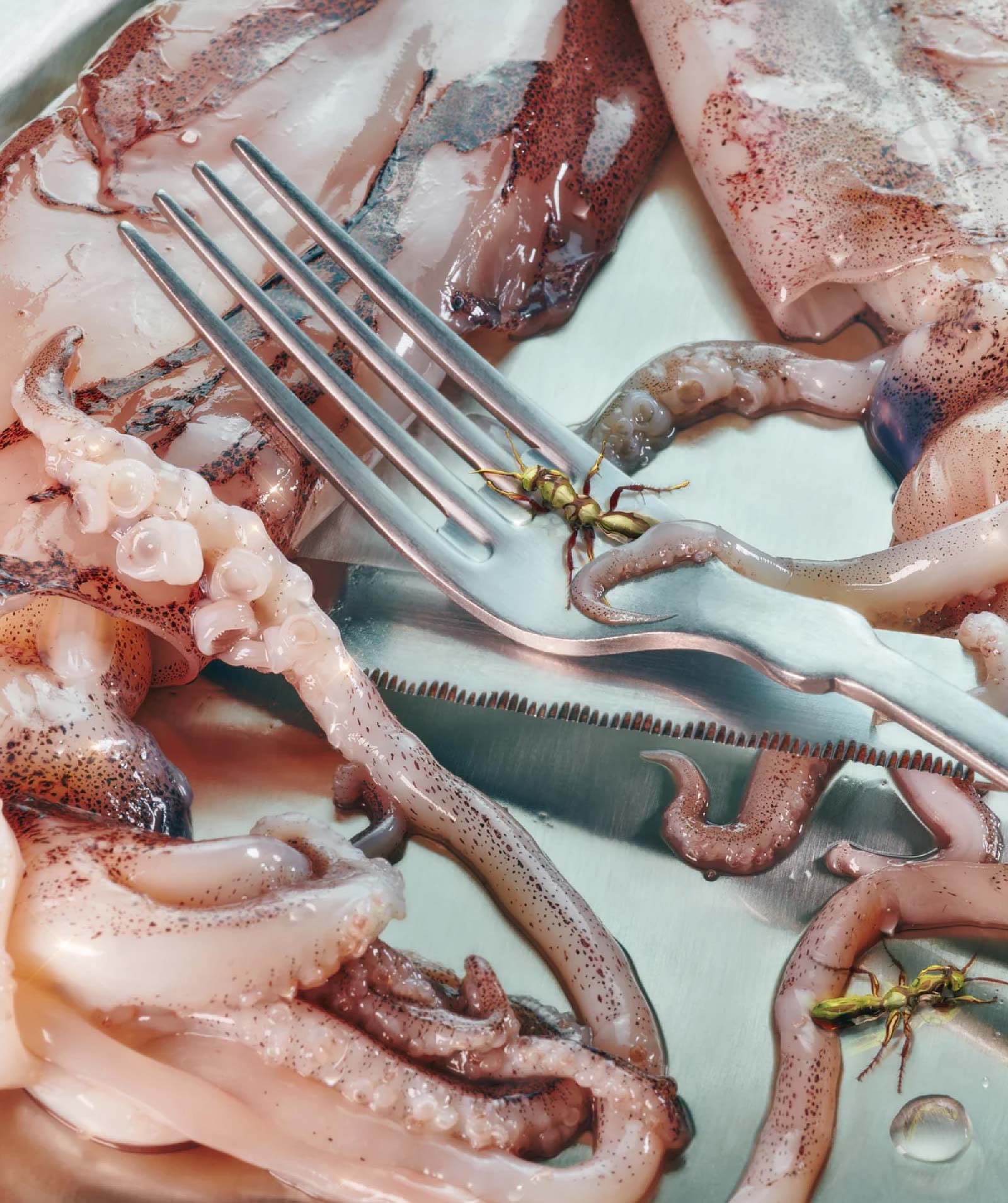 Social commerce strategies Social commerce strategies | dazze studio